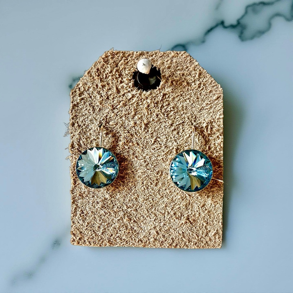 NWOT Blue Crystal Earrings
